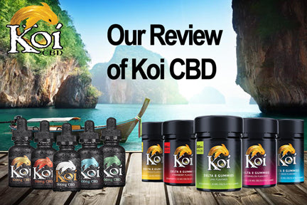 koi vape juice Koi - Full Spectrum CBD + CBN Disposable Vape Pen main image 0