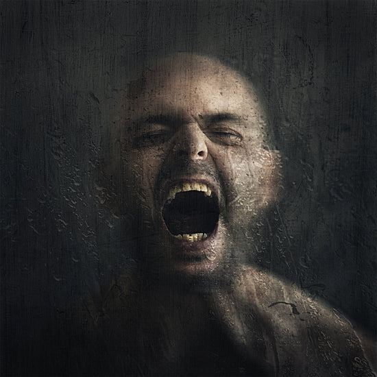 shop cbd for stress PTSD | CBD Brand Review