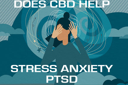 Studies Show CBD's Ability To Combat Anxiety, Stress and PTSD