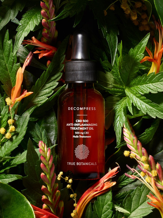 Best CBD | Serums | Lotions for 2024